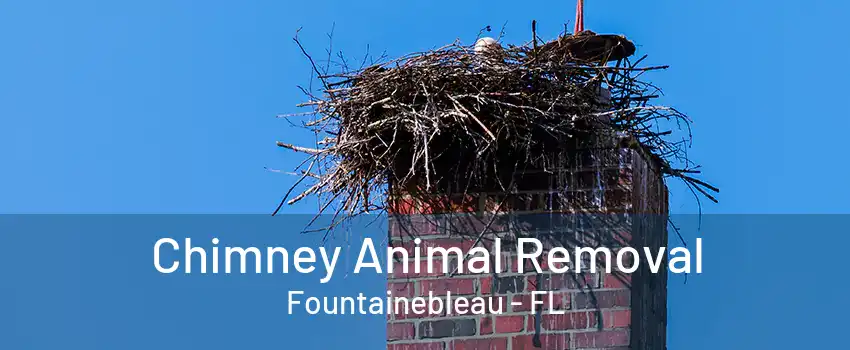 Chimney Animal Removal Fountainebleau - FL