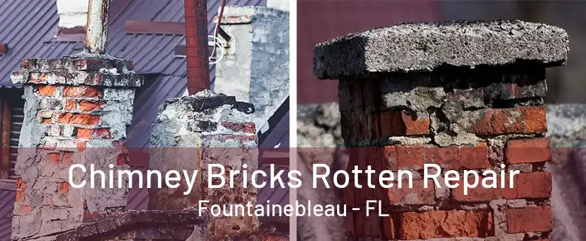 Chimney Bricks Rotten Repair Fountainebleau - FL