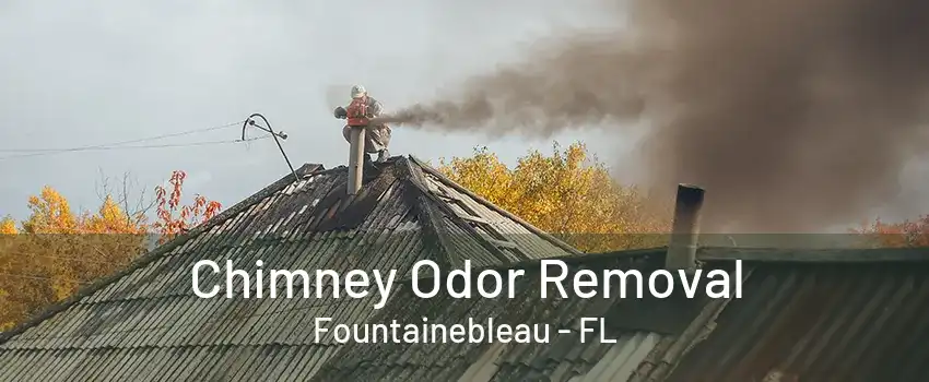 Chimney Odor Removal Fountainebleau - FL