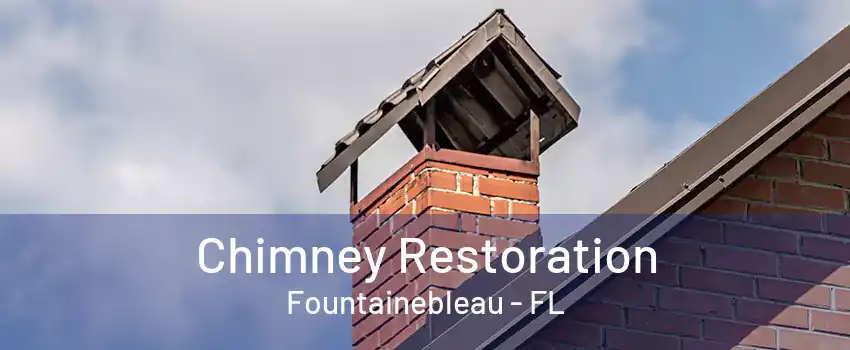 Chimney Restoration Fountainebleau - FL