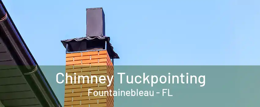 Chimney Tuckpointing Fountainebleau - FL