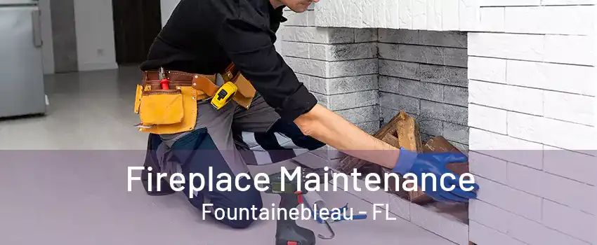 Fireplace Maintenance Fountainebleau - FL