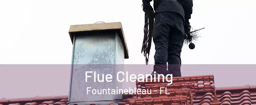 Flue Cleaning Fountainebleau - FL