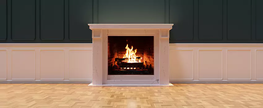 Napoleon Electric Fireplaces Inspection Service in Fountainebleau, Florida