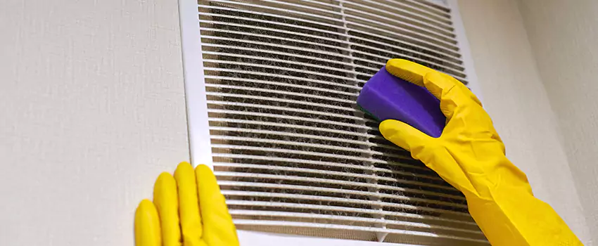 Vent Cleaning Company in Fountainebleau, FL